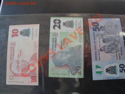 Нигерия 10-20-50-200 (фауна)  пресс до 9.1  в 21-00 мск - много бон 157.JPG