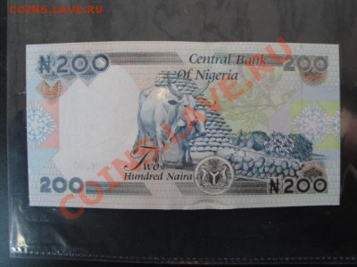 Нигерия 10-20-50-200 (фауна)  пресс до 9.1  в 21-00 мск - много бон 156.JPG