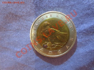 50 рублей. Красная книга. Сапсан. - IMG_1345.JPG