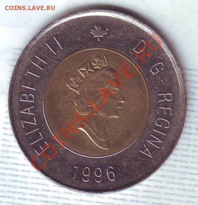 Канада.2 Доллара.1996.Медведь.БМ. до 10 января - 19960055.JPG