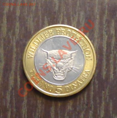 БОПУТАТСВАНА - 5 динатра БИМ ТИГР! до 9.01, 22.00 - бопутатсвана 1