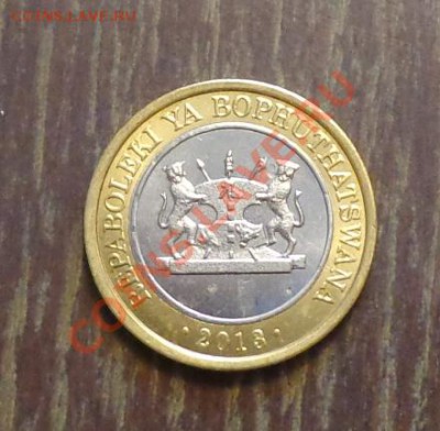 БОПУТАТСВАНА - 5 динатра БИМ ТИГР! до 9.01, 22.00 - бопутатсвана 2