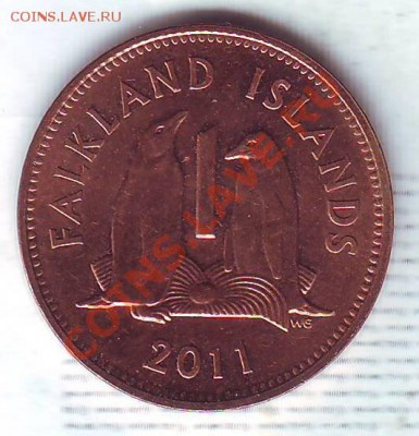 Фолкленды.Пенни.2011.Пингвины. до 10 Января - 20110071.JPG