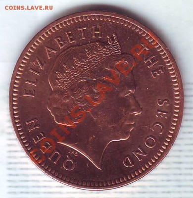 Фолкленды.2 Пенса.2011.Магелланов гусь.до 10 января - 20110072.JPG