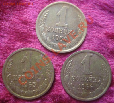 1 копейка 1964, 1965, 1966 г.г., до 6.01.2014 в 22.00 мск - DSC09494.JPG