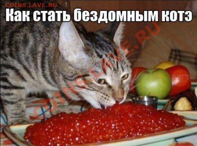 юмор - n9sxnMm7U3k