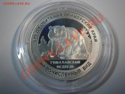 Медали из серии "Красна книга России" серебро 3шт. на оценку - P1060001.JPG