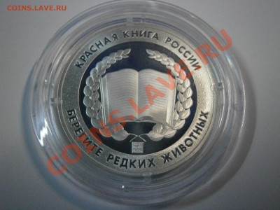 Медали из серии "Красна книга России" серебро 3шт. на оценку - P1060002.JPG