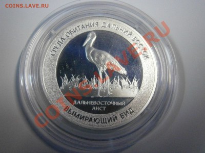 Медали из серии "Красна книга России" серебро 3шт. на оценку - P1060003.JPG