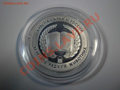 Медали из серии "Красна книга России" серебро 3шт. на оценку - P1060006.JPG
