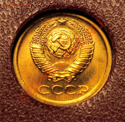 1к68г лысая или обычная? - IMG_8575.JPG
