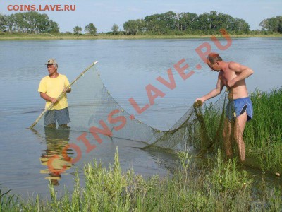 Вопросом на вопрос! - Безымянный