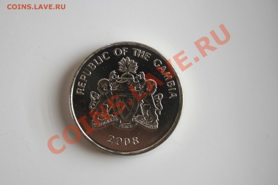 Гамбия 50 бутус 2008 голова быка - IMG_6350.JPG