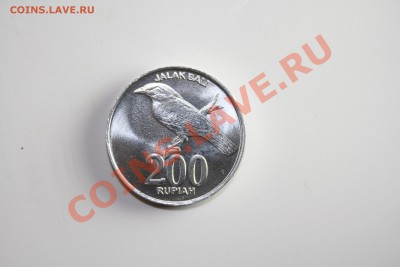 Индонезия 200 рупий 2003 - IMG_6360.JPG