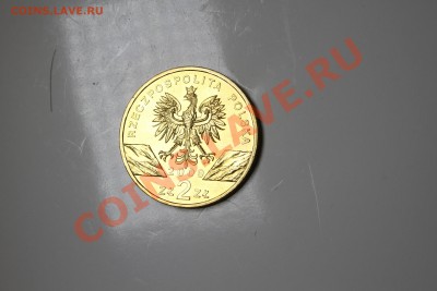 2 злотых 2009 Польша, Зелёная ящерица, Lacerta viridis - IMG_6428.JPG