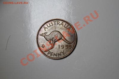 Австралия пенни 1955 Кенгуру - IMG_6449.JPG