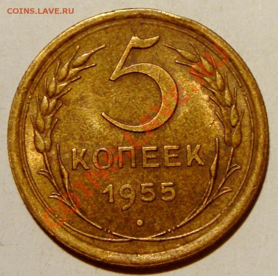 5 копеек 1955__штемпель_12.01.14__22.00 - DSC02725.JPG