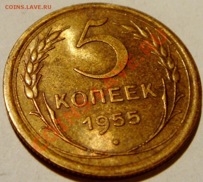 5 копеек 1955__штемпель_12.01.14__22.00 - DSC02726.JPG