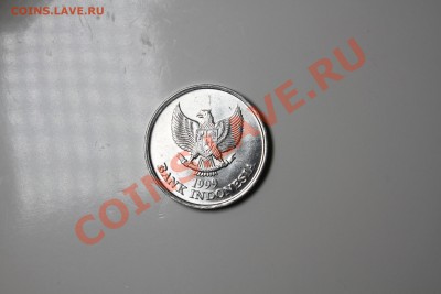 100 рупий Индонезия. Какаду - IMG_6503.JPG