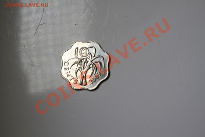 10 ентов 2009. Свазиленд - IMG_6509.JPG