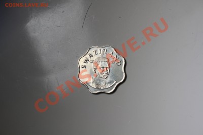 10 ентов 2009. Свазиленд - IMG_6508.JPG