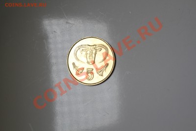 Монета Кипр 5 милса (центов) 1987 г - IMG_6517.JPG