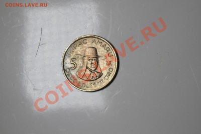5 солес де оро. - IMG_6522.JPG