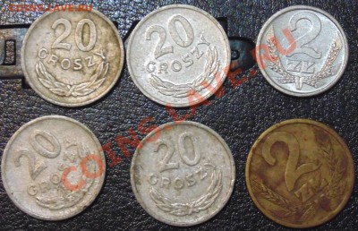 Польша, от 10ф 1917 до 2 зл 2013, предпродажная оценка - DSC00046.JPG