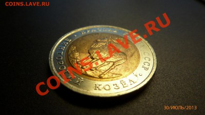 обмен январь - P1010585.JPG