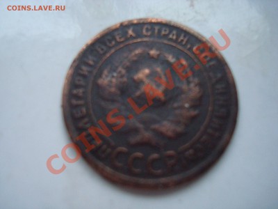 1 к. 1924 г. до 13.01.14 - DSC08258.JPG