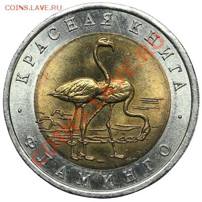 50 рублей 1994 Фламинго - 13.01. - 23:00 - QA1A8974.JPG