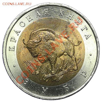 50 рублей 1994 Зубр - 13.01. - 23:00 - QA1A8978.JPG