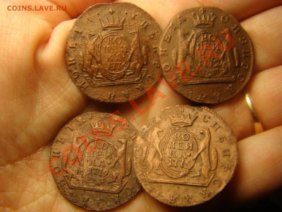 Сибирь: коп 1776, коп 1772, коп 1775, коп 1779 - DSC06038.JPG
