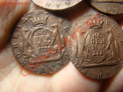 Сибирь: коп 1776, коп 1772, коп 1775, коп 1779 - DSC06041.JPG