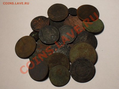 лот какаликов до 11.1.14г - SDC18537.JPG