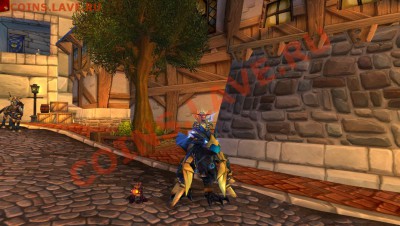 Аккаунт World of Warcraft Mist of Panda (офф Сайт) - WoWScrnShot_110911_204810