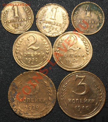 1коп28,31,54;2коп30,37;3коп29,46 убитые - IMG_4575.JPG