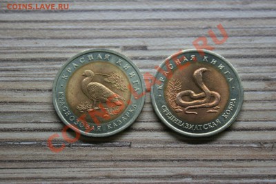 Красная книга 1992 2 монеты Казарка и Кобра до 14.01 22.00 - кк 92 2.JPG