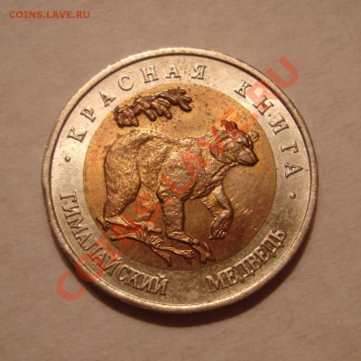 50 руб. 1993г. "Красная Книга" 5 шт. до 16.01.14 23:00 МСК - DSC05066.JPG