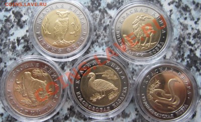 Комплект "Красная книга"-900 руб, в наличии!!! - IMG_5452.JPG
