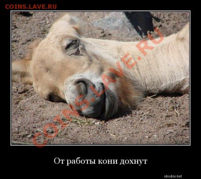 Ассоциация слов - Безымянный