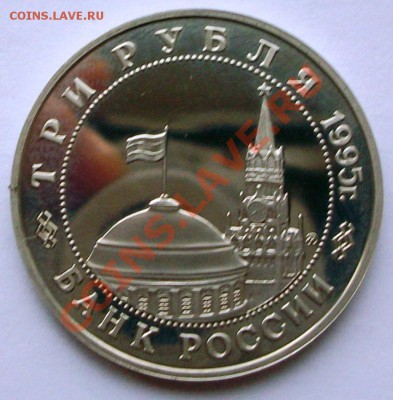 Встреча на Эльбе 1995 г. (до 18-01-2014 в 22:00) - 100_8819.JPG