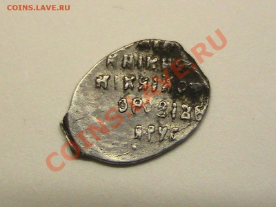 Чешуя - помогите идентифицировать по ГК - IMG_0440.JPG