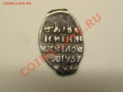 Чешуя - помогите идентифицировать по ГК - IMG_0446.JPG