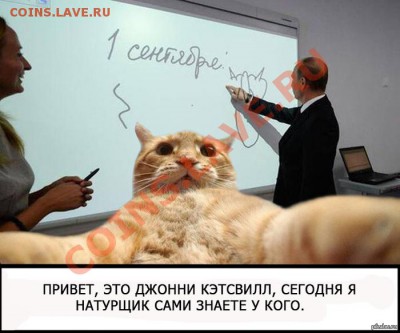 юмор - 1389355419_1949342894