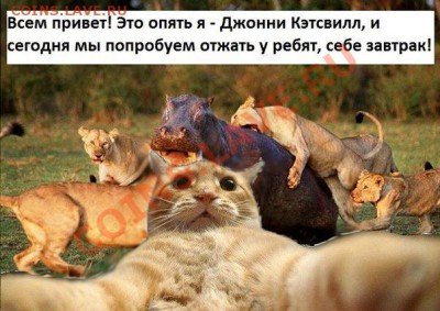 юмор - Z11rIyypfgc