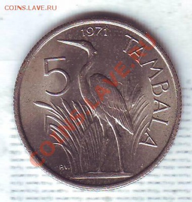 Малави.5 Тамбала.1971.Аист. до 16.01 - 19710075.JPG