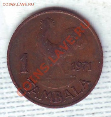 Малава.Тамбала.1971.Петух. до 17.01 - 19710076.JPG
