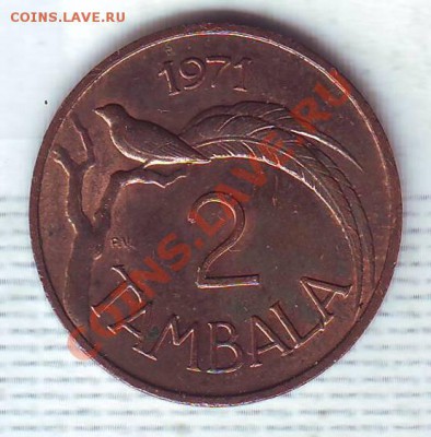 Малави.2 Тамбала.1971.Птичка. до 17.01 - 19710079.JPG