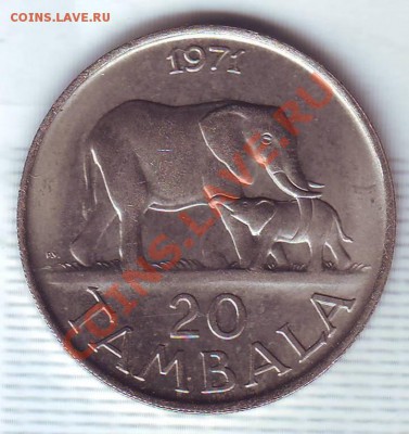 Малави.20 Тамбала.1991.Слоны. до 17.01 - 19710081.JPG